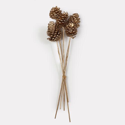 Dried Pine Stems - Set of 5