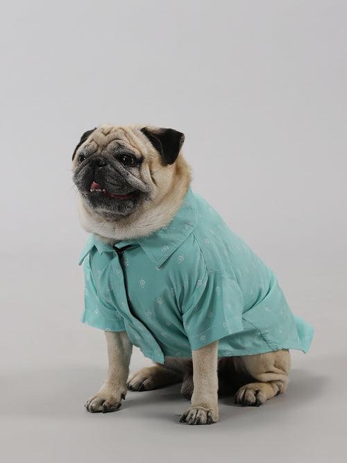 Minty Breeze Dog Shirt