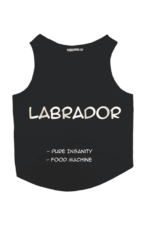 Labrador Dog T-Shirt