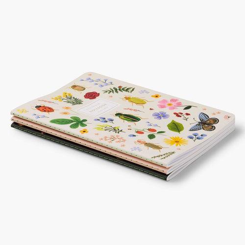 Curio Notebook Set