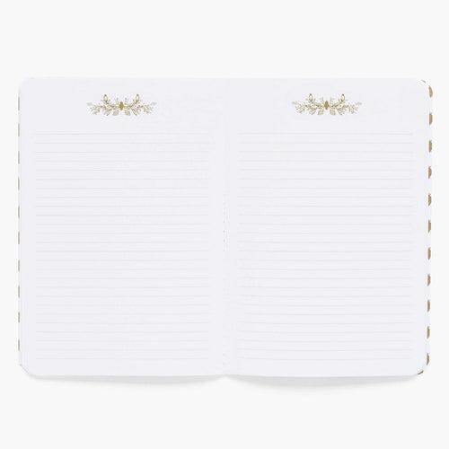 Curio Notebook Set
