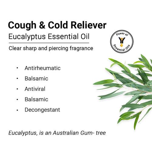 Eucalyptus Essential Oil, Therapeutic, Pure & Natural, Headache, Sinus, Nasal Congestion, Cold & Cough, Antiseptic & Insecticide 10ml