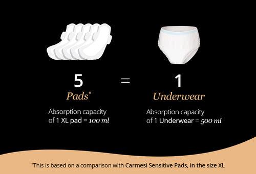 Carmesi Disposable Period Panties