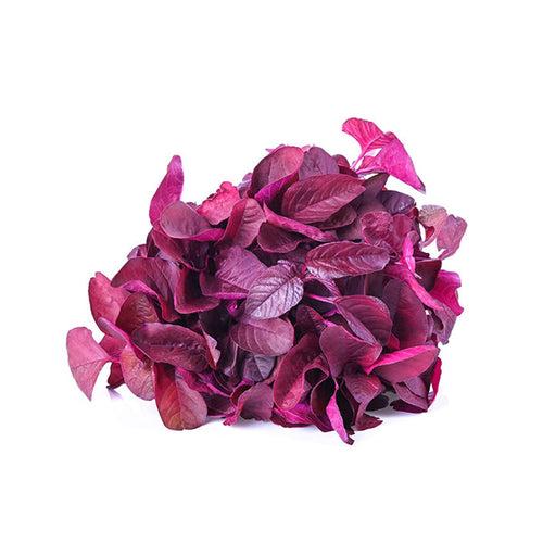 Amaranthus Red Garnet Baby Leaf Seeds