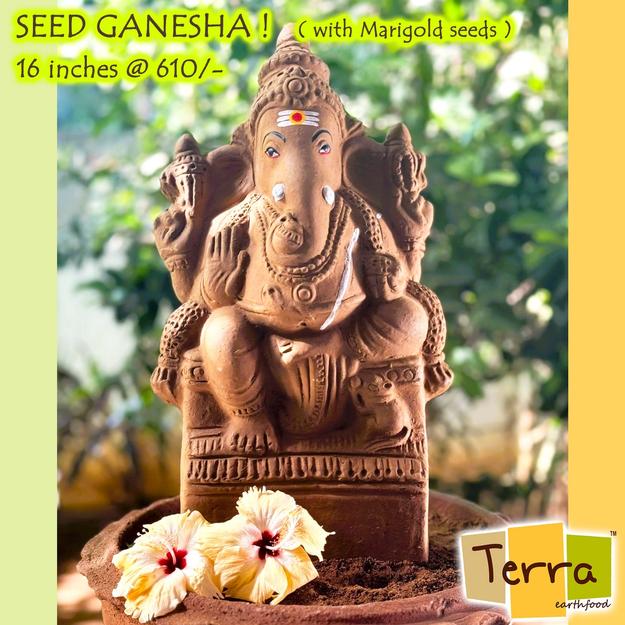 Terra Seed Ganesha 16 inch