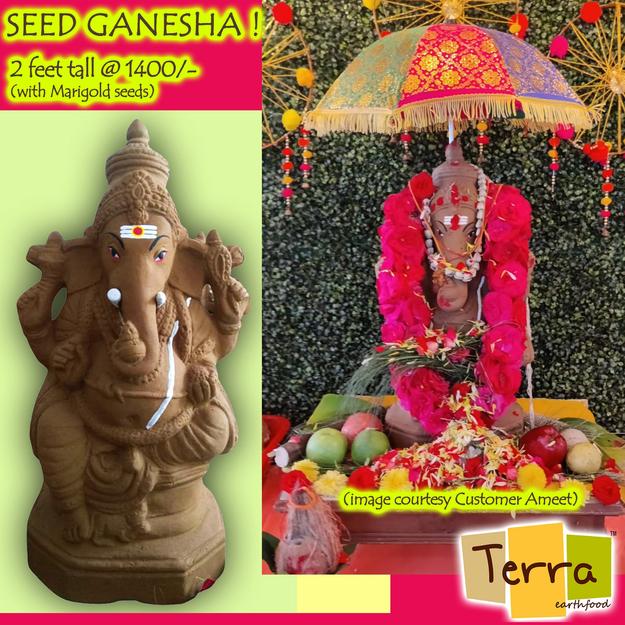 Terra Seed Ganesha 2 feet