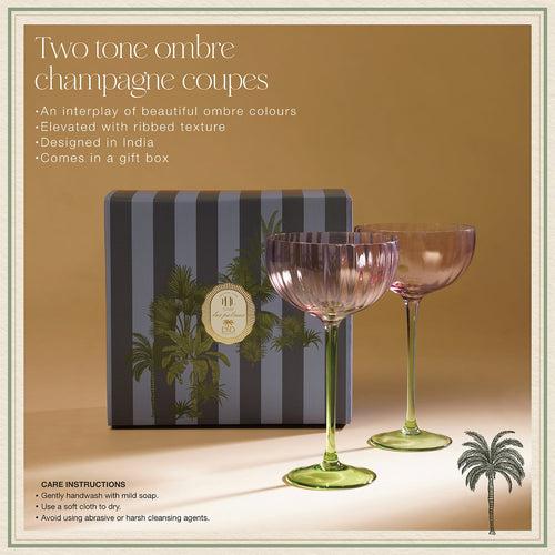 Set of 2 Green & Plum Ombre Champagne Coupes