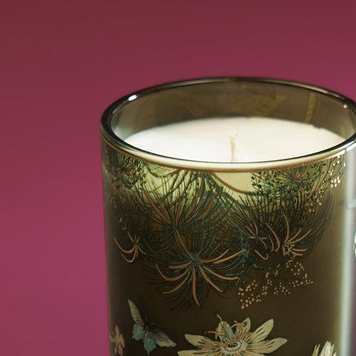 Olive Green Las Palmas Printed Glass Jar Candle