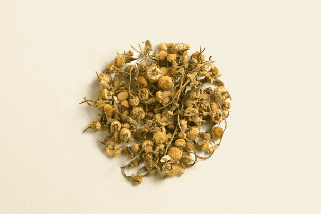 Himalayan Chamomile