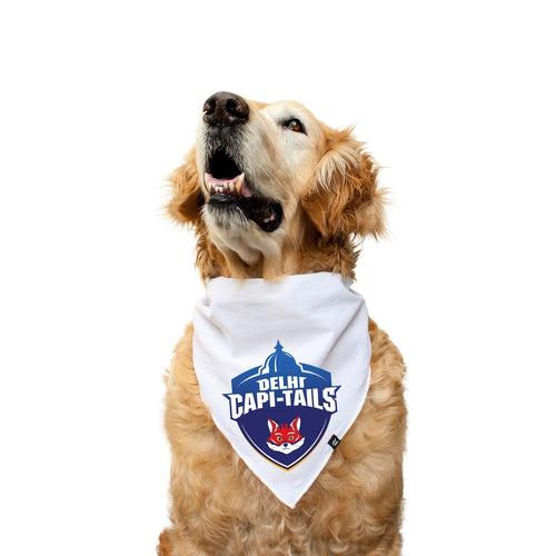 "Delhi Capi-Tails" Printed Knotty Dog Bandana