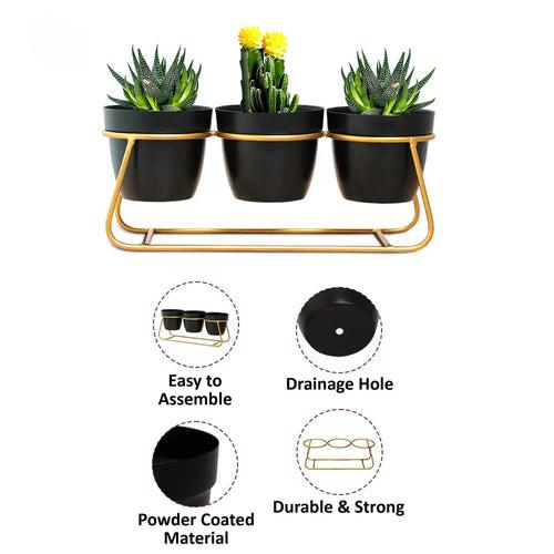 Casa De Amor Stylish Trio Tabletop Metal Planters Set with Designer Pots