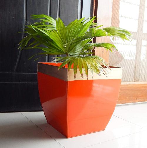 Casa De Amor 12 inches Metal Planters for Living Room | Midland Plant Pots for Indoor Outdoor (Pack of 2)