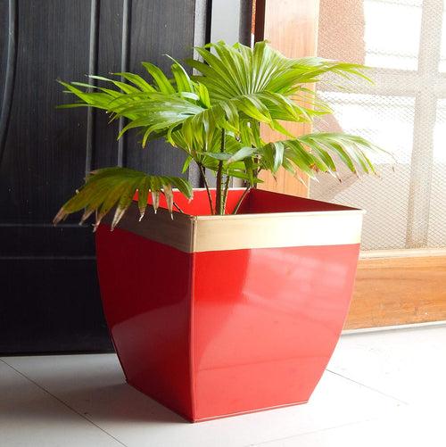 Casa De Amor 12 inches Metal Planters for Living Room | Midland Plant Pots for Indoor Outdoor (Pack of 2)