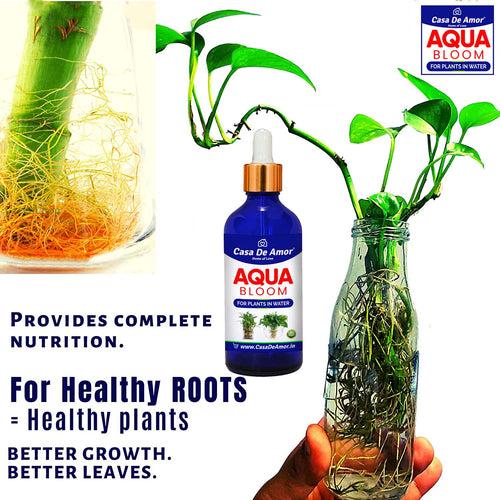 Casa De Amor- Aqua Bloom - Liquid Fertilizer for Lucky Bamboo, Money Plants & Aquatic Plants (in Water) 100 ml Premium Glass bottle with Glass dropper