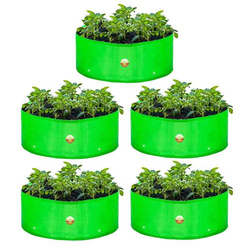 Casa De Amor HDPE UV Protected 360 GSM Green Grow Bags Round Suitable for Vegetable Terrace Gardening (12x6 Inch)