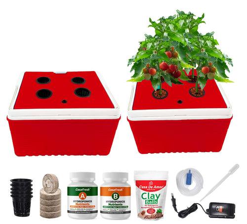 Casa De Amor Hydroponics kit for Vine Plants like Tomato, cucumber for Indoor / Outdoor