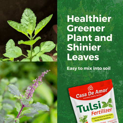 Combo Pack_Tulsi Fertilizer (900 gm) + Money Plant Fertilizer (900 gm) for Balcony, Terrace & Home Gardening