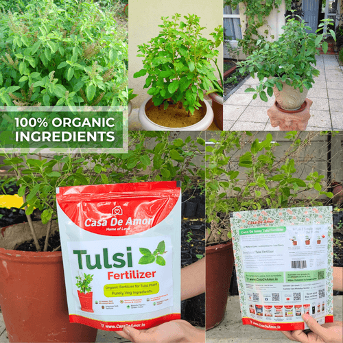 Combo Pack_Tulsi Fertilizer (900 gm) + Money Plant Fertilizer (900 gm) for Balcony, Terrace & Home Gardening