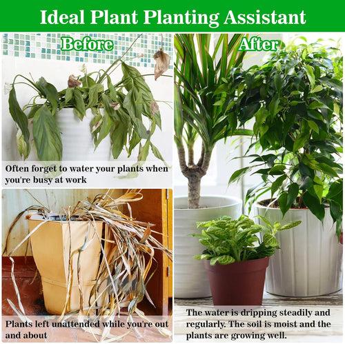 Casa De Amor Self Watering Wick Cord- Automatic Plant Watering System for Vacation Plant Care - DIY Potted Plant Sitter Rope for Indoor & Outdoor Gardens