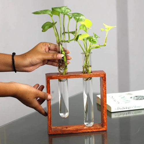 Casa De Amor Test Tube Planter with Wooden Holder for Office Table Top & Living Room Decoration