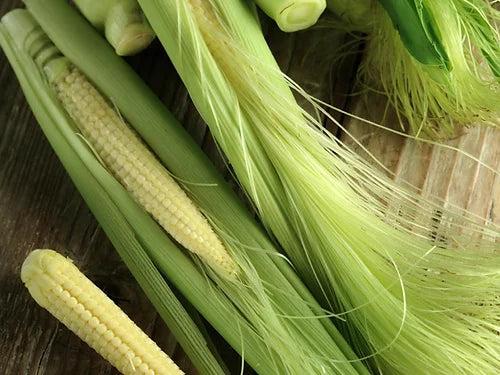 Baby Corn- 50 Seeds