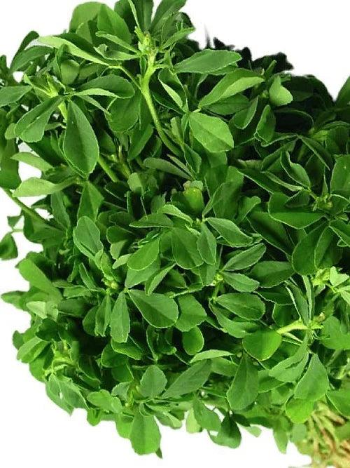 Methi(Fenugreek)- 100 Seeds