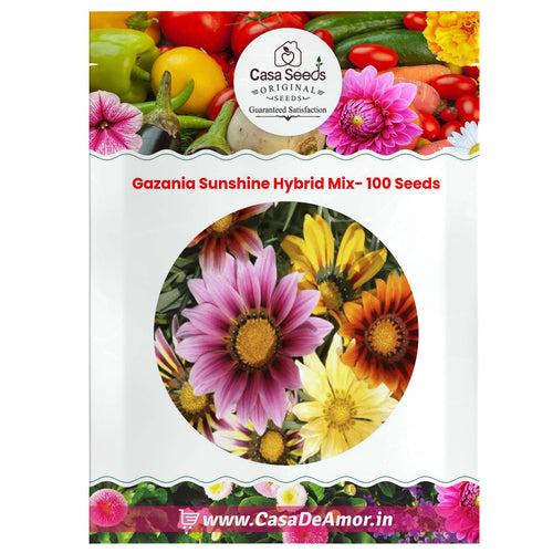 Gazania Sunshine Hybrid Mix- 100 Seeds