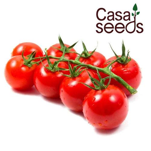 Tomato Cherry- 100 Seeds