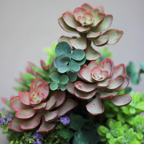 Artificial Succulent Plant - Red Leaves