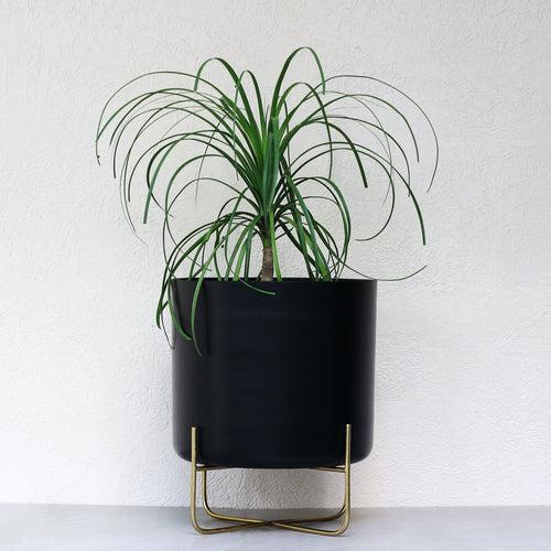 Large Black Planter On Stand