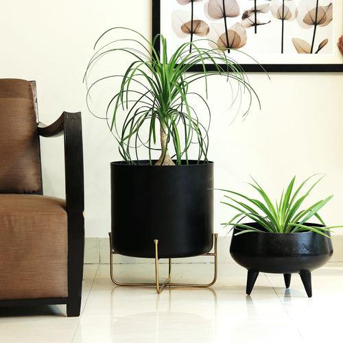 Black Planters with Legs