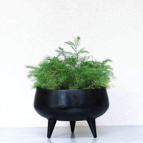 Black Planters with Legs