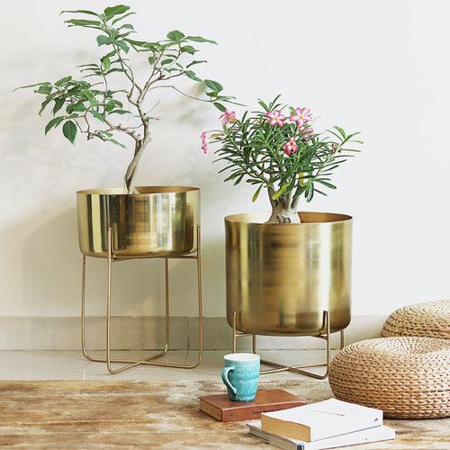 Brass Planter On Stand