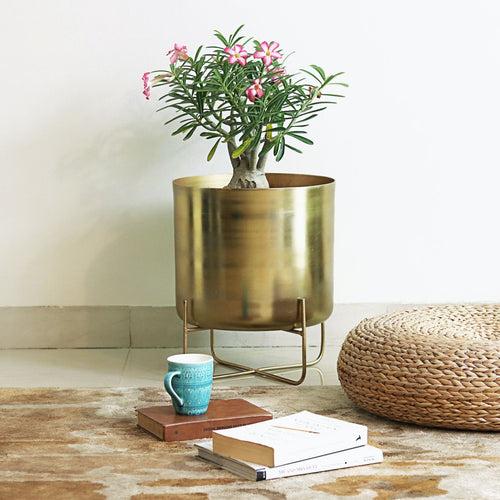 Brass Planter On Stand