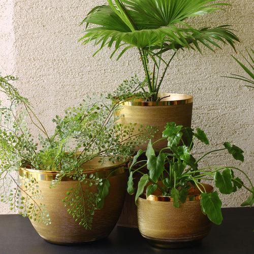 Brass Ridged Planter