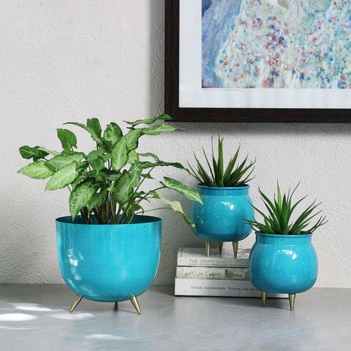 Bright Blue Pot Planter