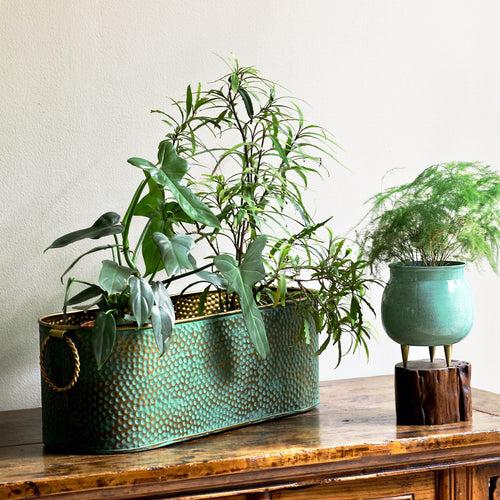 Green Oval Pot