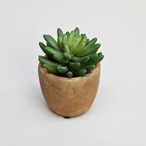 Green Succulent Artificial Plant Set