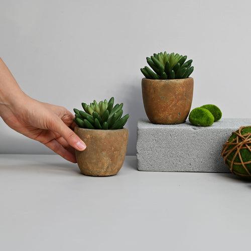 Green Succulent Artificial Plant Set