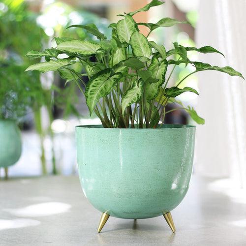 Light Blue Metal Planter With Legs