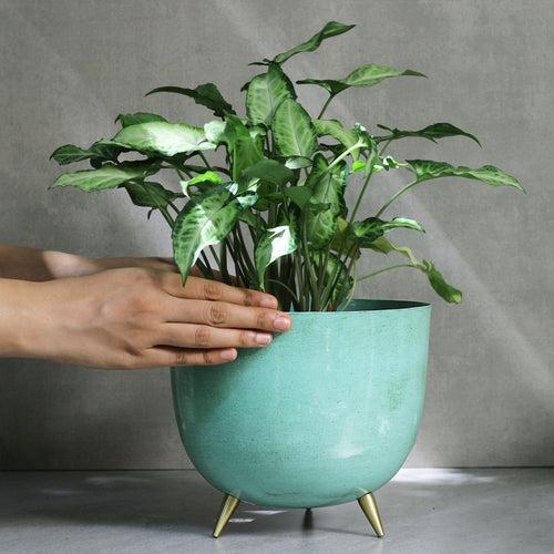 Light Blue Metal Planter With Legs