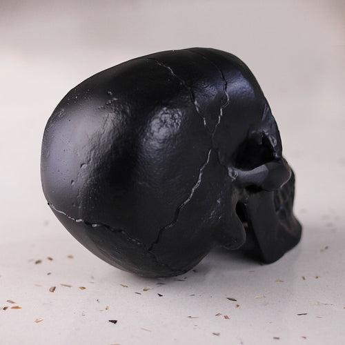 Metal Skull Showpiece