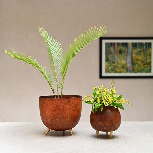 Decorative Rust Indoor Planter