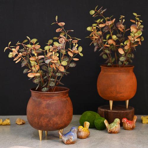 Rust Patina Pot Planter