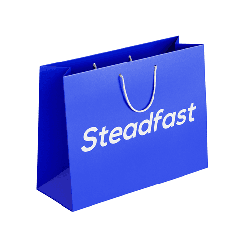 Steadfast Blue Carry Bag