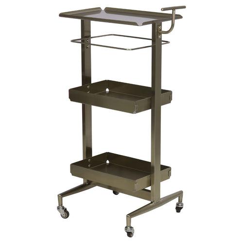 Stainless Steel Tools Cart