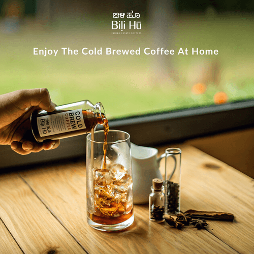 Cold Brew Blend (Pack of 3)