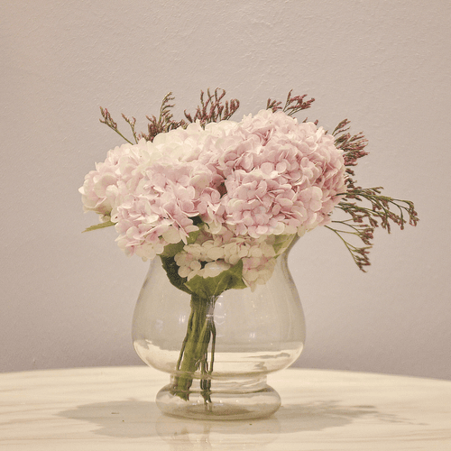 Hydrangea Garden