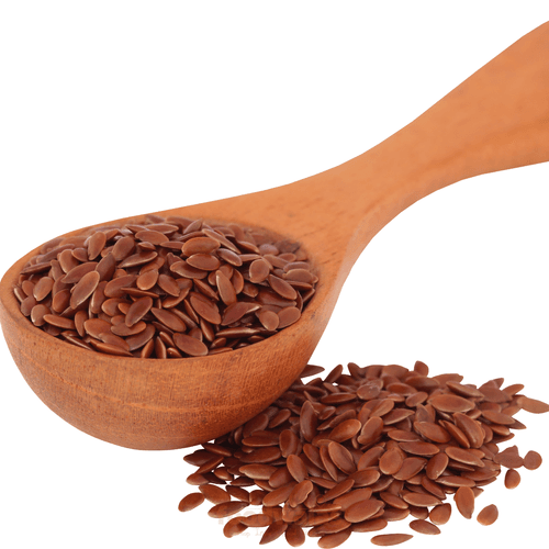 Flax Seeds