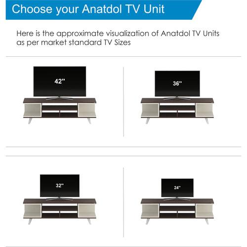 Anatdol TV Unit